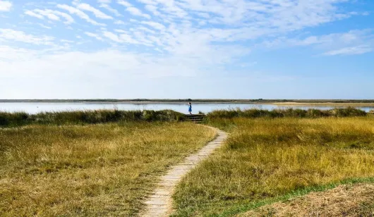 Sentier menant à une plage